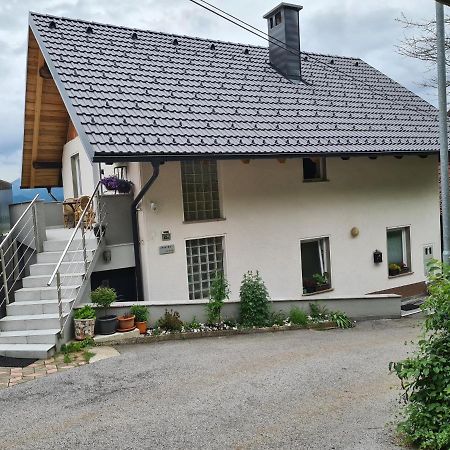 Apartment With View Zirovnica Exterior photo