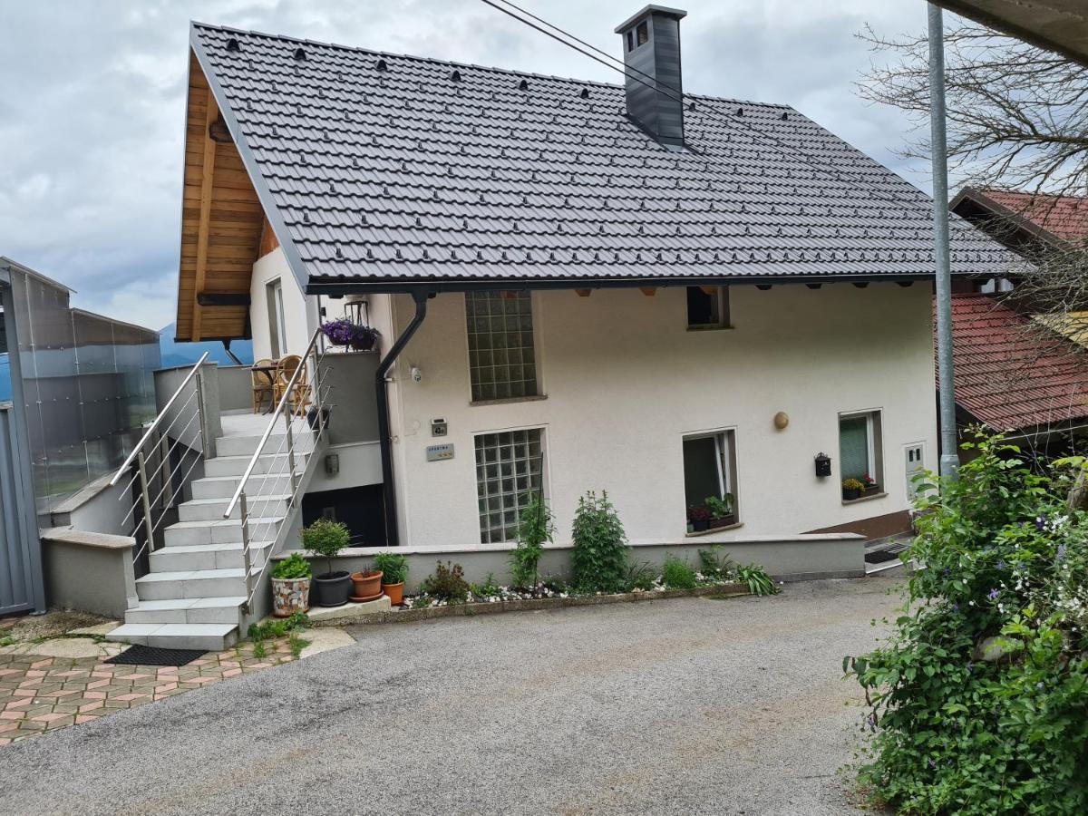 Apartment With View Zirovnica Exterior photo